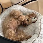Elliot Yates - @elliotay7 - Instagram