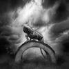 Elliot Yoder871 - @elliot.yoder - TikTok