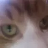 Elliott.ball - @elliott.ball - TikTok