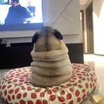 Elliott - @elliott_batess - Instagram