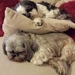 Bernard Elliott - @elliott.bernard - Instagram