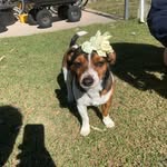 Elliott Black - @elliottblack751 - Instagram