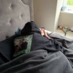 Elliott - @elliottblue10151025 - Instagram
