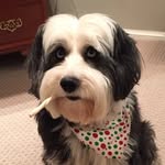 Elliott - @elliott.blueeyedwonder - Instagram
