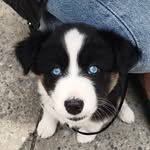 Elliott Blue Eyes - @mlle_elliott - Instagram