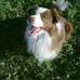 Eliott Border - Facebook
