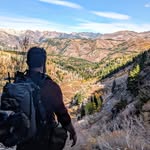 Elliott Coffey - @thebeardedmav - Instagram
