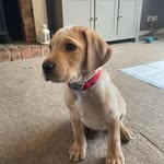 Elliott Cox - @elliottcox2023 - Instagram