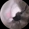 Elliott cox - @elliott.mccallum - TikTok