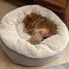 elliott - @elliottdunnn - TikTok