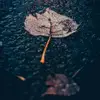 anything you want - @elliottevans256 - TikTok