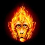 Elliott Evans - @pyro_monkey_ - Instagram