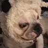 Foster Elliott - @fosterelliott5 - TikTok