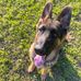 Elliott Fuller - Facebook