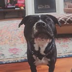 Elliott Hoffman - Facebook