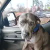 elliotthoffman932 - @elliotthoffman3811 - TikTok