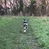 Elliott Ingram - @elliott.ingram5 - TikTok