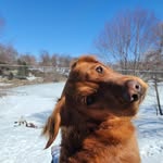 Elliott Fitzpatrick Laughlin - @eltron612 - Instagram
