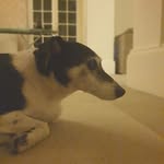 Elliott Leaman - @elliott_leaman - Instagram