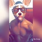 Elliott Marks - @templog - Instagram