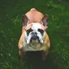 Elliott Moore - @elliott499 - TikTok