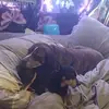 Elliott Moore - @elliott.moore - TikTok