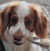 Mark Elliott - Painter &amp; Decorator - Facebook