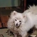 Brian Elliott-Pearson - @brianelliottpearson - Instagram