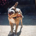 Elliott Perry - @elliott.perry.568 - Instagram