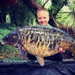 Elliott Platt - @elliottplatt - Instagram