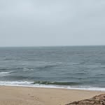 Cindy Elliott Powers - @capecodess - Instagram