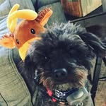 Elliott Randolph - @elliott_ceaser_randolph - Instagram