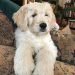 Elliott Rice - @elliottthedood - Instagram