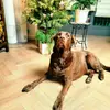 elliottrobersonvn6223 - @elliottrobersonvn6223 - TikTok