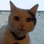 Elliott Rogers - Facebook