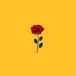 Elliott - @_elliott_ross_ - Instagram