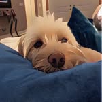 Elliott Rothberg - @rothbergelliott - Instagram