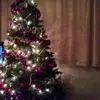 elliottshaw447 - @elliottshaw447 - TikTok