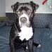 Elliott Shields - Facebook