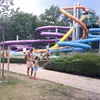 elliottshort12 - @elliott7869 - TikTok