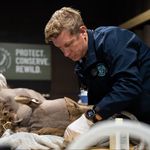 Dr Elliott Simpson-Brown | Zoo Vet - @elliott_zoo_vet - Instagram
