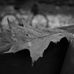 Elliott Sims - Facebook
