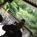Elliott Sims - Facebook