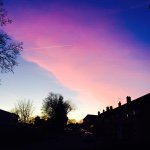 Elliott Sims - @elliottsims123 - Instagram