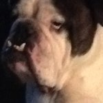 elliott_sims - @elliott_sims - Instagram