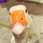 Elliott Roberts-Singleton - @ejrs25 - Instagram