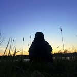 Elliott Stiles - @elliottstiles2 - Instagram