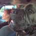 Ellis Anderson - Facebook