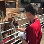 Ellis Bailey - @ellisbailey269 - Instagram