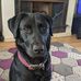 Ellis Barnes - Facebook